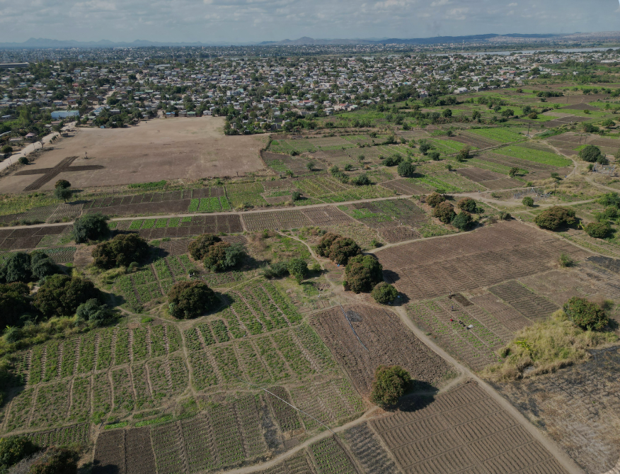 plots in sector 28 rohini